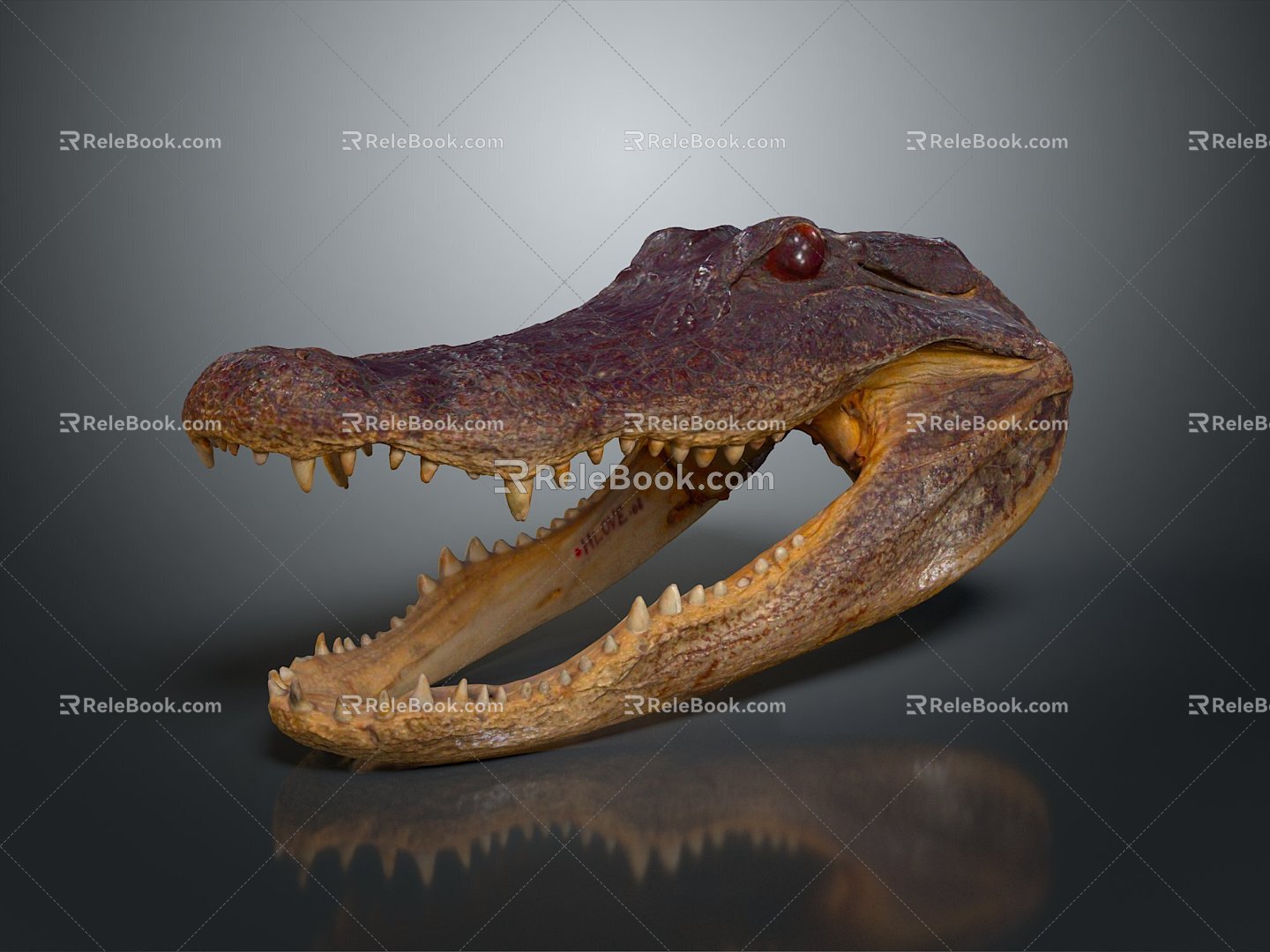 Modern Crocodile Crocodile Specimen Alligator Nile Alligator 3d model