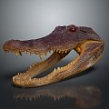 Modern Crocodile Crocodile Specimen Alligator Nile Alligator 3d model