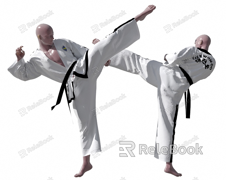 Modern Man Taekwondo Characters model