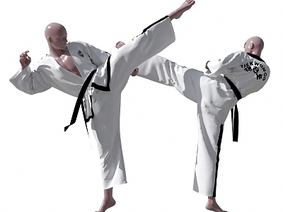 Modern Man Taekwondo Characters model