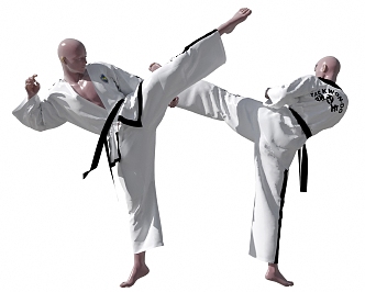 Modern Man Taekwondo Characters 3d model