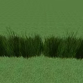 Vibrant Green Crops Growing Tall On Lush Grassland Under Blue Sky With White Clouds