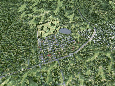 Aerial View Planning of Residential Area With Green Spaces Lake and Roads 3d model