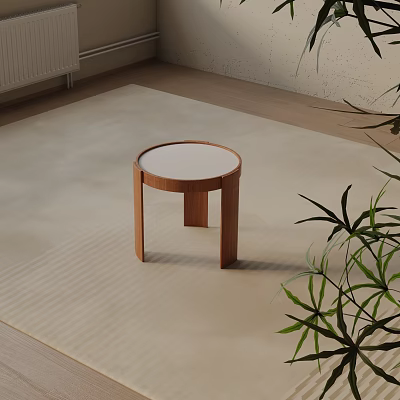 Modern Round Side Table with White Top and Wooden Legs on Light Rug with Plant 3d model