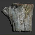 Natural Wooden Stump Planter With Green Plant Growth And Rustic Texture