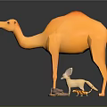 Orange Camel With Small Animals Like Fox Snake And Lizard On Dark Surface With Reflection