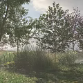Lush Green Natural Outdoor Area With Tall Trees Fresh Grass And Colorful Flowers