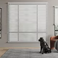 White Venetian Blinds In Modern Living Room With Window Armchair And Rug