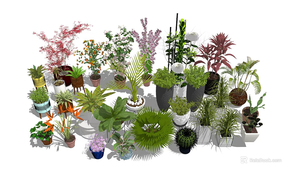 Bonsai and Potted Plants Collection with Various Green and Flowering Species in Decorative Pots 3d model 