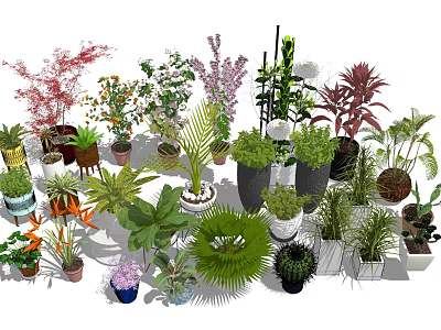 Bonsai and Potted Plants Collection with Various Green and Flowering Species in Decorative Pots 3d model