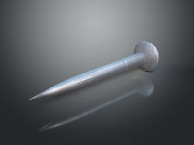 Metal Nail With Round Head And Sharp Point On Reflective Surface 3d model
