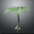 Green Fern Plant Featuring Feathery Leaves Textured Trunk And Decorative Base On Grey Background