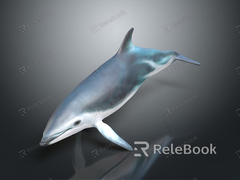 whale cartoon whale mammal marine mammal marine animal fish freshwater fish marine fish model