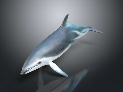 Graceful Blue Gray Dolphin in Swimming Pose with Glossy Skin 3D Render 3d model