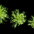 Decorative Green Garden Ornaments With Three Radiant Shapes And Artistic Design