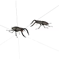 insect spade 3d model