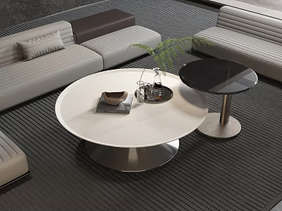 Modern Round White Coffee Table With Plant Books And Sofa On Dark Rug 3d model