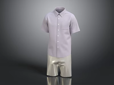Light Purple Short Sleeve Shirt With Beige Casual Shorts Outfit 3d model
