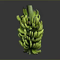 Fresh Green Banana Bunch with Stem Placed on Dark Background Surface 3d model