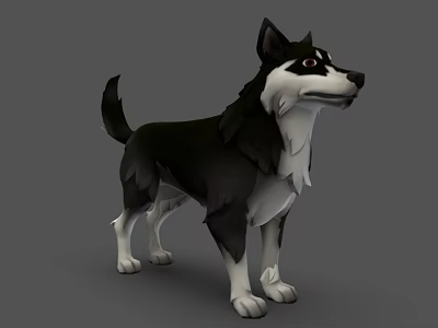 Realistic 3D Model Of Black And White Dog Standing With Fluffy Fur 3d model