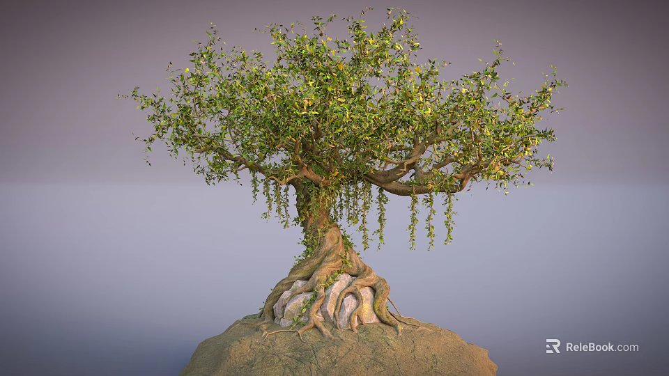 Arbor Tree With Lush Green Leaves Hanging Vines And Exposed Roots On Rock Base 3d model 