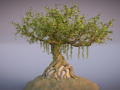 Arbor Tree With Lush Green Leaves Hanging Vines And Exposed Roots On Rock Base 3d model