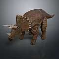 Realistic Triceratops Standing Model With Brown Skin Three Horns And Spiked Back On Gray Background
