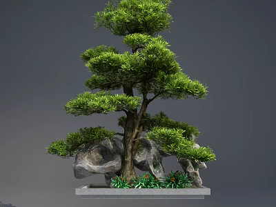 Lush Arbor Bonsai Display With Rocks Green Foliage And Decorative Base 3d model