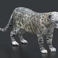 Realistic Snow Leopard With Spotted Gray Fur And White Paws In Standing Pose