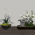 Bonsai Potted Plants With White Flowers Green Leaves In Black Rectangular Pots On Wooden Floor