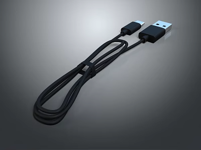 Durable Mobile Phone USB Charging Data Cable High Speed Transfer and Charging 3d model