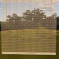 Bamboo Blinds View Of Green Grassland Trees Blue Sky And White Clouds
