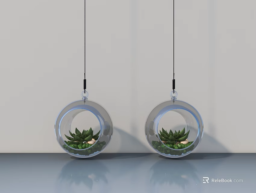 Hanging Green Plants in Transparent Spherical Planters Against White Wall and Smooth Surface 3d model 