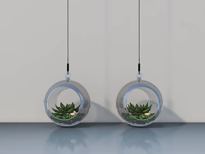 Hanging Green Plants in Transparent Spherical Planters Against White Wall and Smooth Surface 3d model