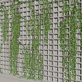 Lush Green Vines Hanging Artistically For Home Decor On White Lattice Wall