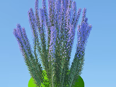 Beautiful Purple Flowers With Green Stems And Leaves Against Blue Sky Background 3d model