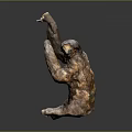 Realistic Sloth Sculpture in Sitting Pose with Long Raised Arms and Detailed Fur Texture