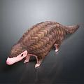 Realistic Pangolin 3D Model With Brown Scales And Pink Nose