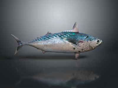 Striped Aquatic Fish With Blue Silver Body And Reflection On Gray Background 3d model Striped Aquatic Fish With Blue Silver Body And Reflection On Gray Background 3d model