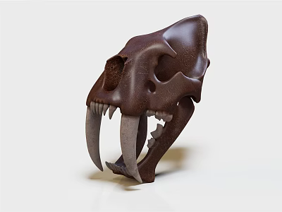Realistic Medical Skull Model With Brown Color And Long Fangs For Education 3d model