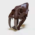 Realistic Medical Skull Model With Brown Color And Long Fangs For Education