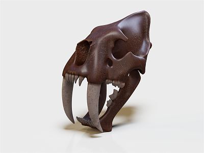 Modern Skull Animal Skull 3d model