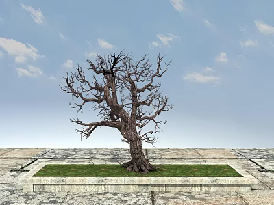 Leafless Arbor with Rough Trunk in Square Grassy Area on Stone Pavement Under Blue Sky 3d model