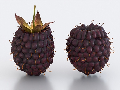 Blackberry Raspberry Fruit 3d model