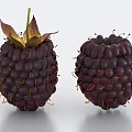 Blackberry Raspberry Fruit 3d model