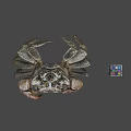 Realistic Crab Figure With Colorful Rubiks Cube On Gray Background