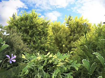 Lush Green Shrubs in Sunlit Garden with Colorful Flowers and Leafy Foliage 3d model