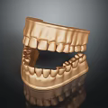 Golden 3D Rendered Dental Jaw Model Featuring Detailed Teeth And Jawbone Structure