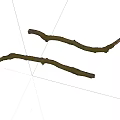 Natural Wooden Branches With Mossy Texture And Organic Shape For Decoration