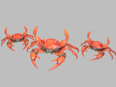 Three Red Aquatic Crabs With Sharp Claws And Vibrant Shells On Gray Background 3d model